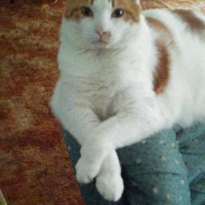 Meet your Posher, Veronica